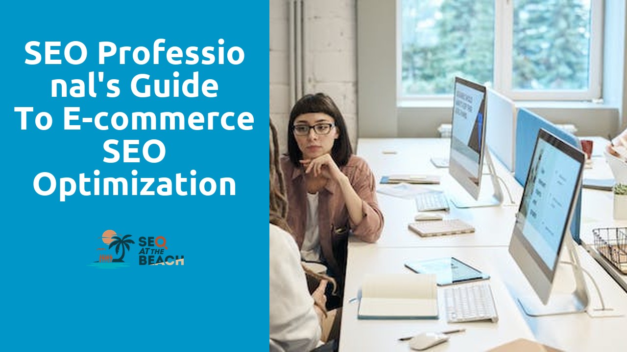 SEO Professional's Guide to E-commerce SEO Optimization